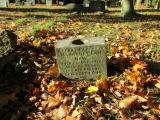 image of grave number 908444